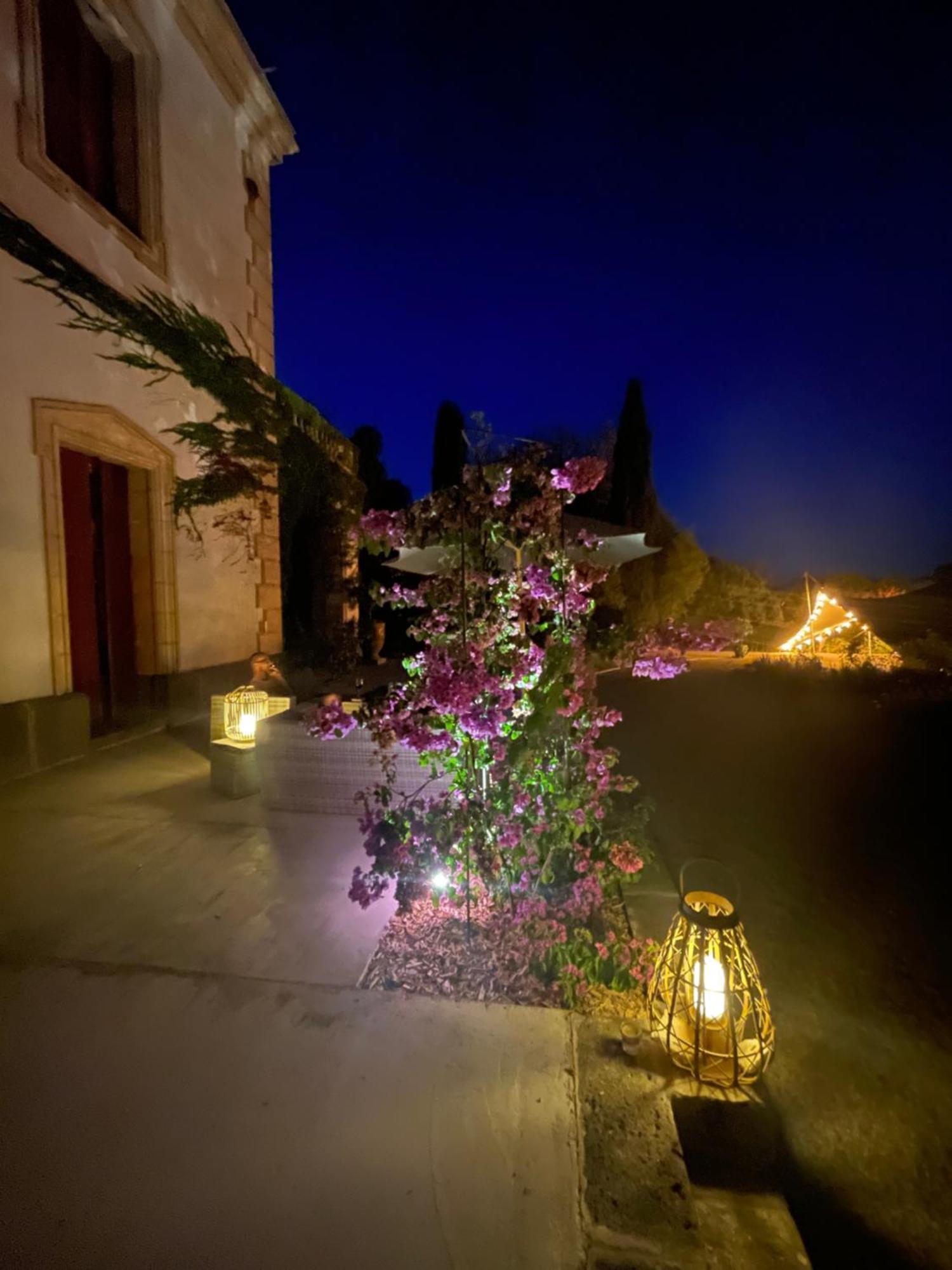La Bellonette Marseillan  Extérieur photo