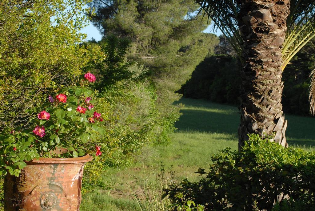 La Bellonette Marseillan  Extérieur photo